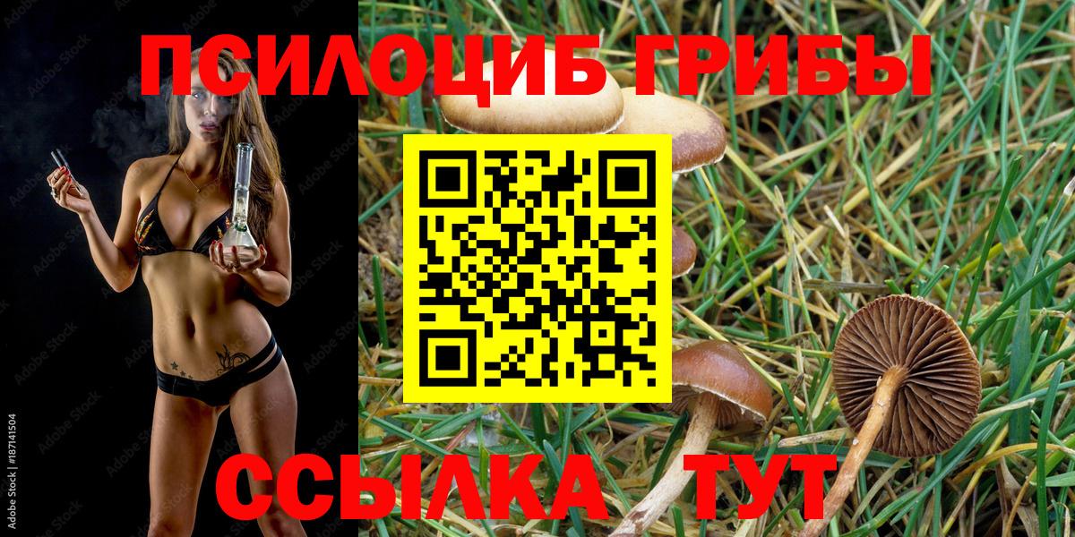 хочу   Псилоцибиновые грибы Psilocybine cubensis  Вход с VPN  Шахты  Галлюциногенные грибы прущие грибы 